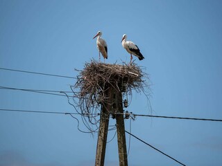 Casa de vacaciones Pobierowo Entorno 19