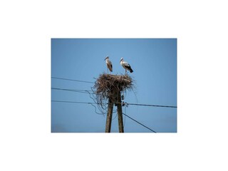 Casa per le vacanze Pobierowo Registrazione all'aperto 8