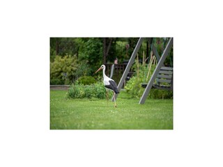 Casa per le vacanze Pobierowo Registrazione all'aperto 9