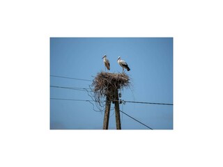 Casa per le vacanze Pobierowo Registrazione all'aperto 8