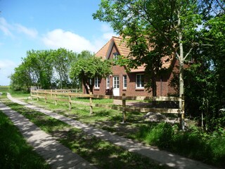 Ferienwohnung St. Peter-Ording Außenaufnahme 2