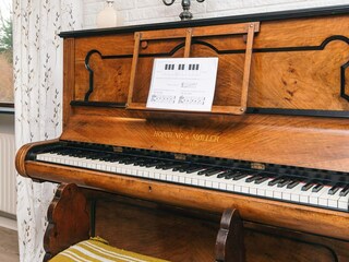 Holiday house Vivild  6