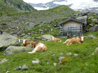Appartamento Neukirchen am Großvenediger Ambiente 20