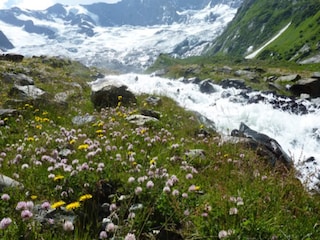 Appartamento Neukirchen am Großvenediger Ambiente 29