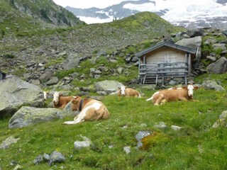Appartement Neukirchen am Großvenediger Environnement 31