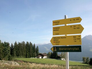 Apartment Hollersbach im Pinzgau Environment 37