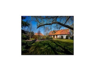 Ferienhaus Czarny Mlyn Außenaufnahme 9