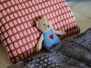 bärige Träume