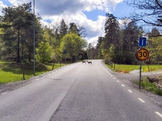 Ferienhaus Ingarö  26