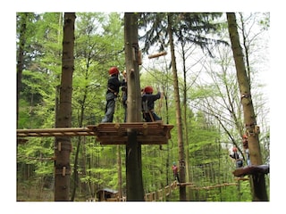 Kletterparks in der Nähe