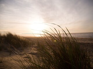 Ferienwohnung Norderney Umgebung 12