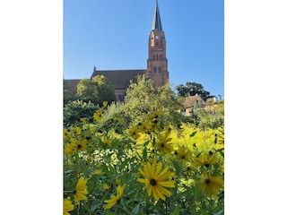 Genießen Sie die Weite vom Turm der Marienkirche.