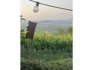Aussicht Weinkastell Kloppberg