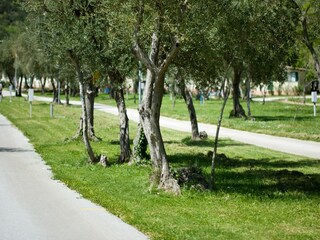 Wohnwagen Rabac Außenaufnahme 11