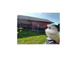 Vakantiepark Lubin Buitenaudio-opname 2