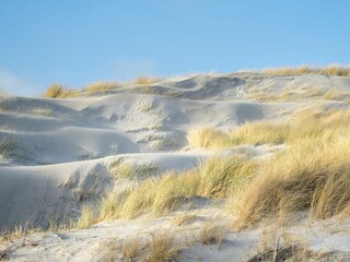 Ferienwohnung Westerhever Außenaufnahme 8
