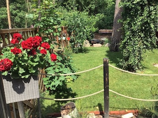 Blick in den Garten