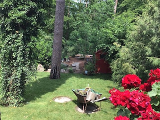 Blick in den Garten