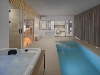 Wellness area with hot tub, sauna and indoor pool