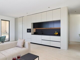 Fully equipped kitchen in villa in Dalmatia