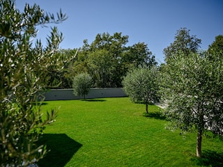 Garden and forest by villa on Krk