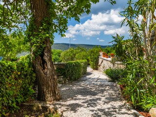 Garden pathway surrounded by Mediterranean greenery