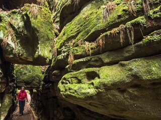 Appartamento per vacanze Prossen Ambiente 19