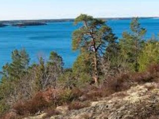 Ferienhaus Bråxvik Außenaufnahme 6