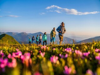 Holiday park Turracherhöhe Environment 22