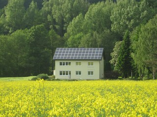 Appartement Homberg an der Efze Enregistrement extérieur 7