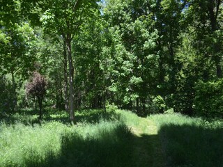 Apartamento Homberg an der Efze Grabación al aire libre 3