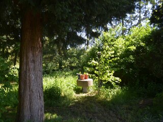 Apartamento Homberg an der Efze Grabación al aire libre 8