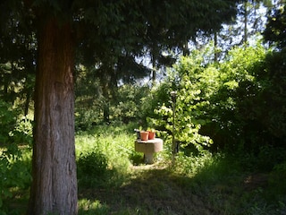 Appartement Homberg an der Efze Buitenaudio-opname 5