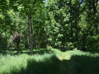 Apartment Homberg an der Efze Outdoor Recording 4