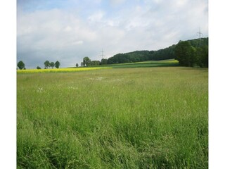 Apartamento Homberg an der Efze Entorno 26