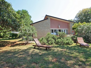 Garden arround the house
