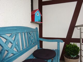 Vogelnest Eingangsbereich