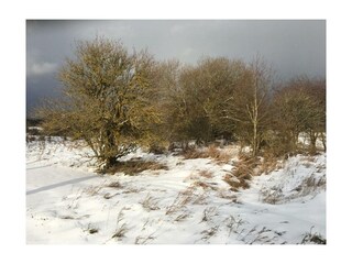 Wanderung ehemalige Panzerstraße