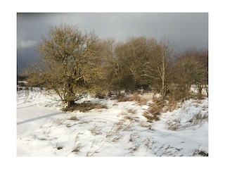 Wanderung ehemalige Panzerstraße