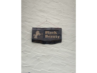 Unterkunftsschild_Black Beauty