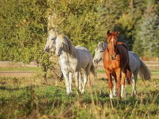 WhatsApp Image 2022-10-09 at 08.38.28(22)