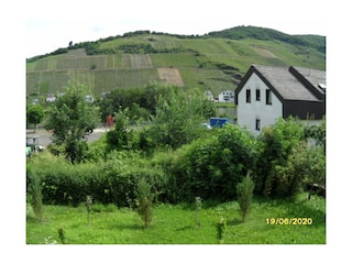 Holiday apartment Zell Mosel Outdoor Recording 4
