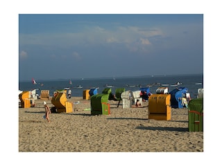 Wyker-Südstrand in 100m Entfernung