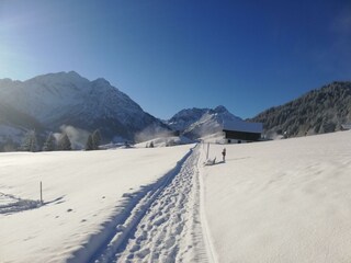 IMG_20201210_094226