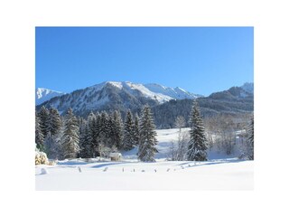 vor dem Haus mit Blick auf die Kanzelwand