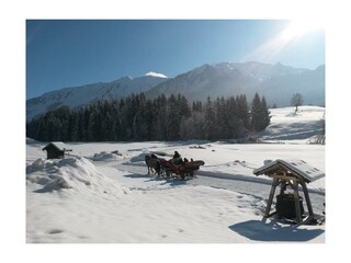 Pferdeschlittenfahrt
