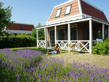 Ferienhaus Tulp & Zee