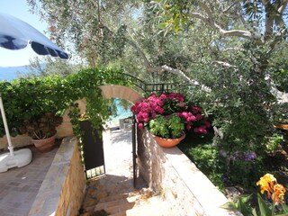 Appartamento per vacanze Seget Vranjica Registrazione all'aperto 3