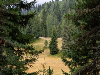 Chalet Turracherhöhe Außenaufnahme 23