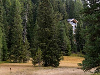 Chalet Turracherhöhe Außenaufnahme 38